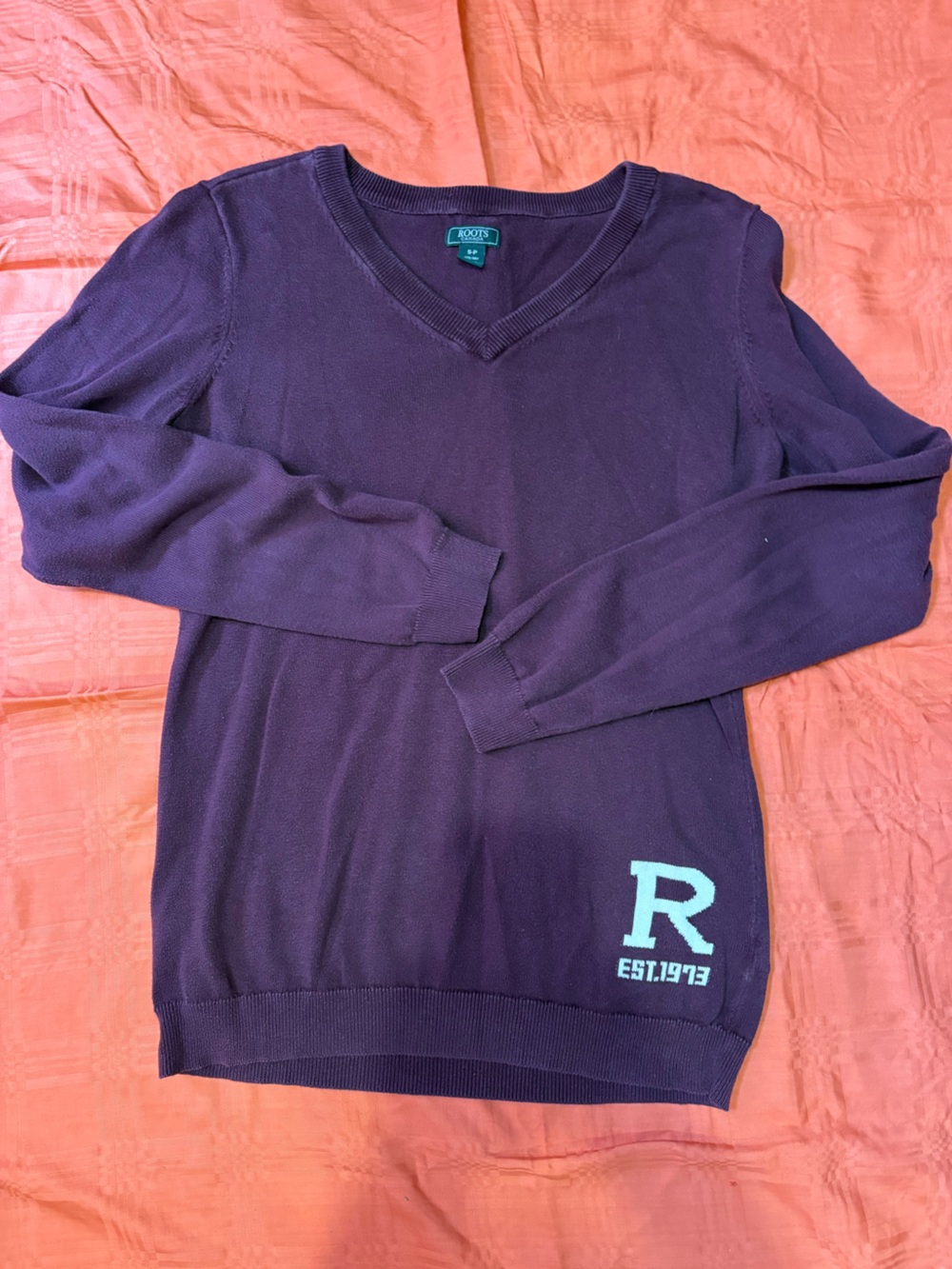 ROOTS V-Neck Sweater - Burgundy
